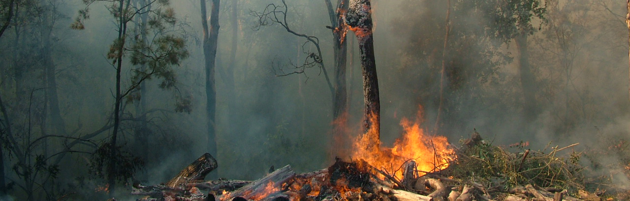 Climate change impacts on bushfires