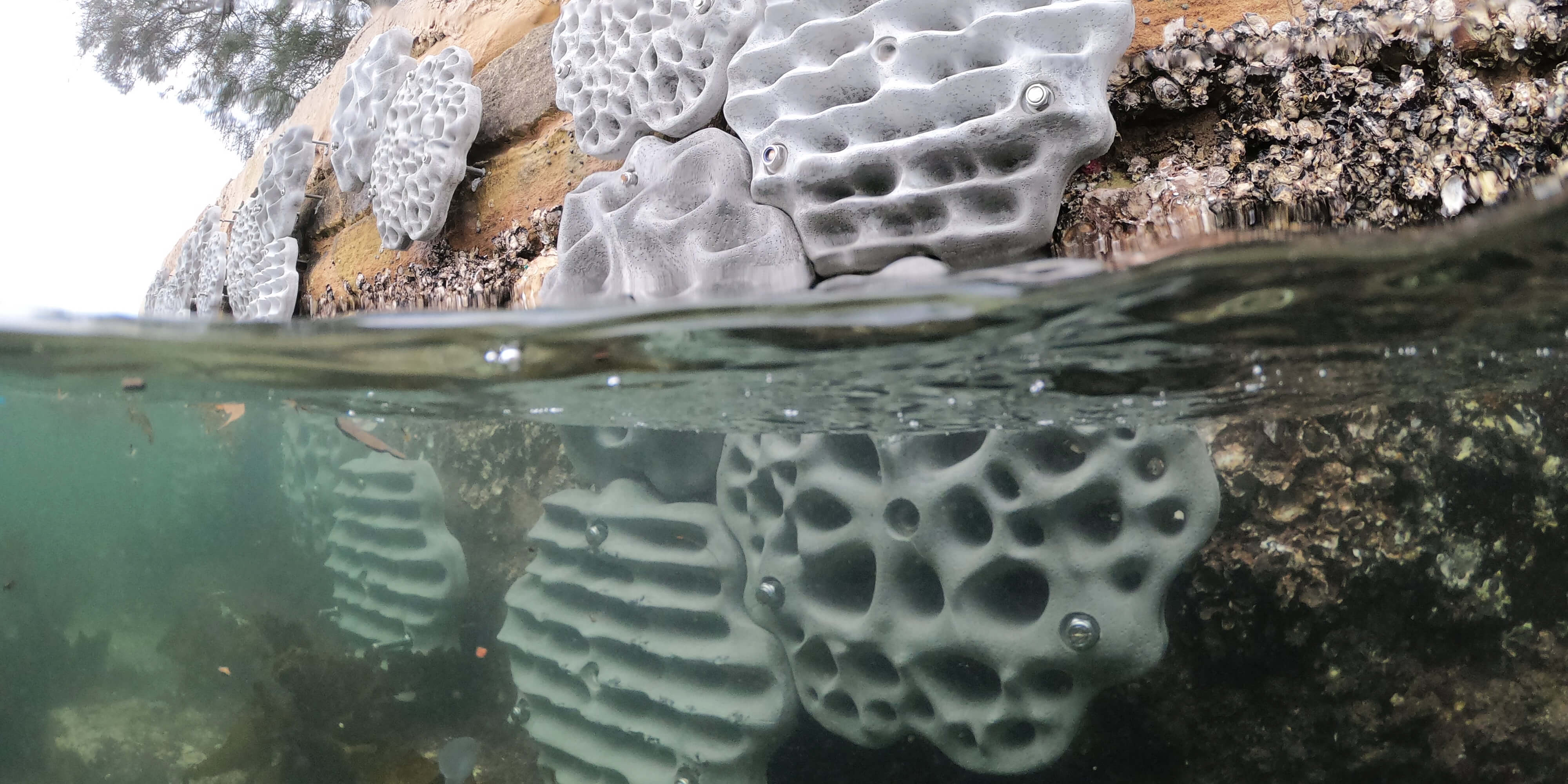 Close up of living seawalls tiles on a vertical rock seawall with half part under water