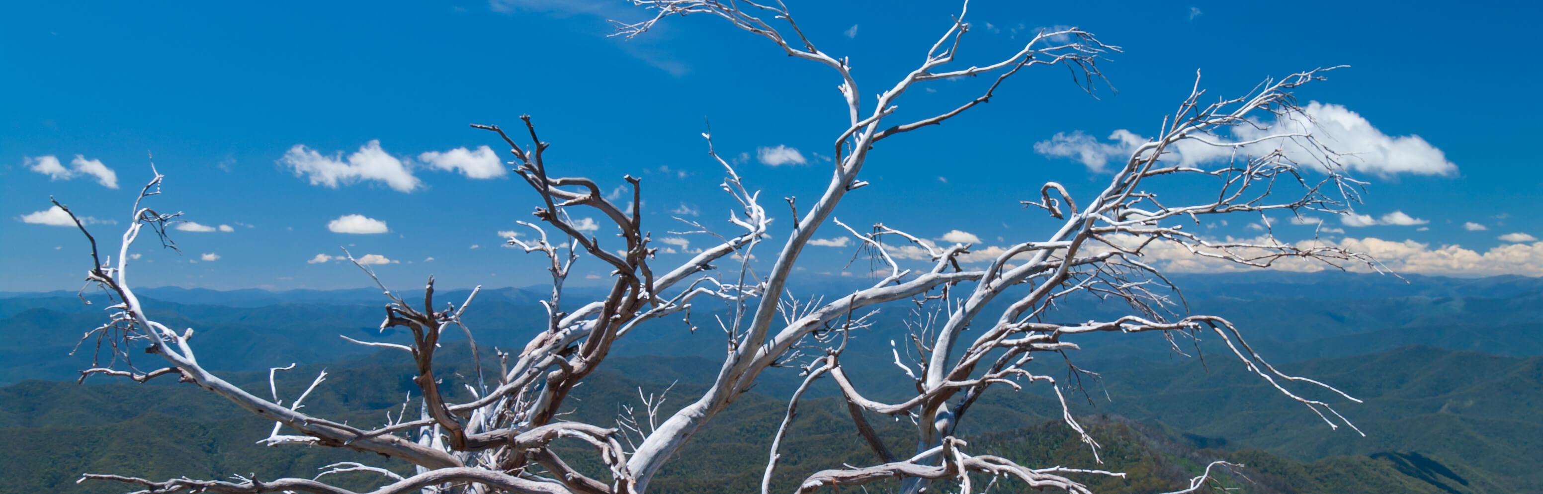 Australian climate change observations