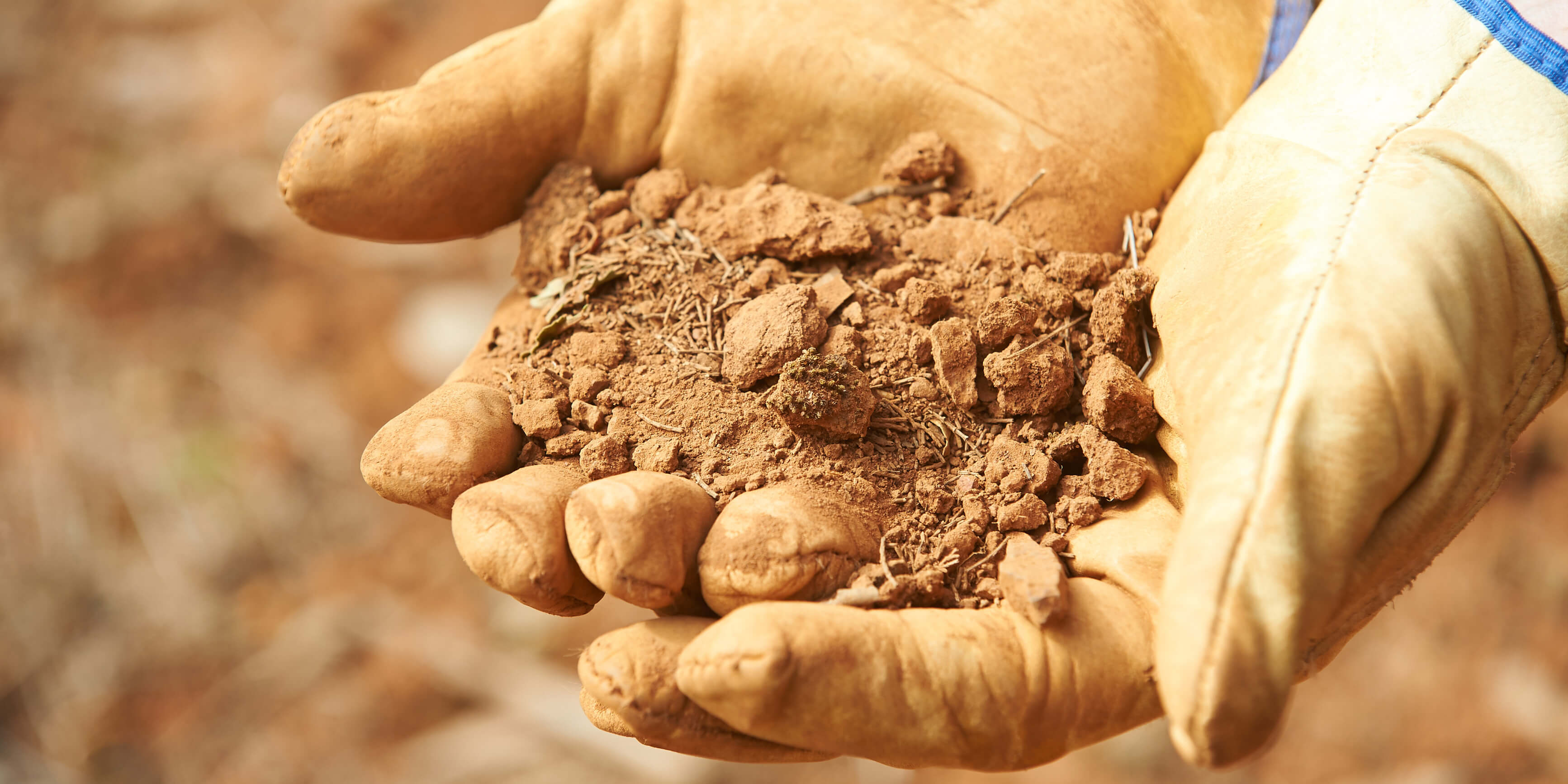 Close up of 2 hands with gloves showing soil