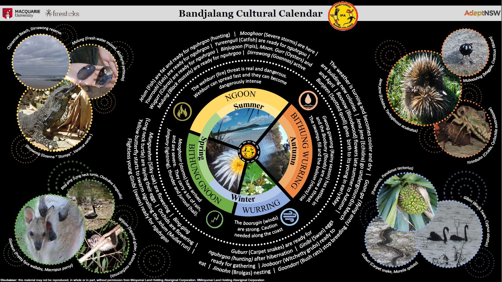 Bandjalang calendar