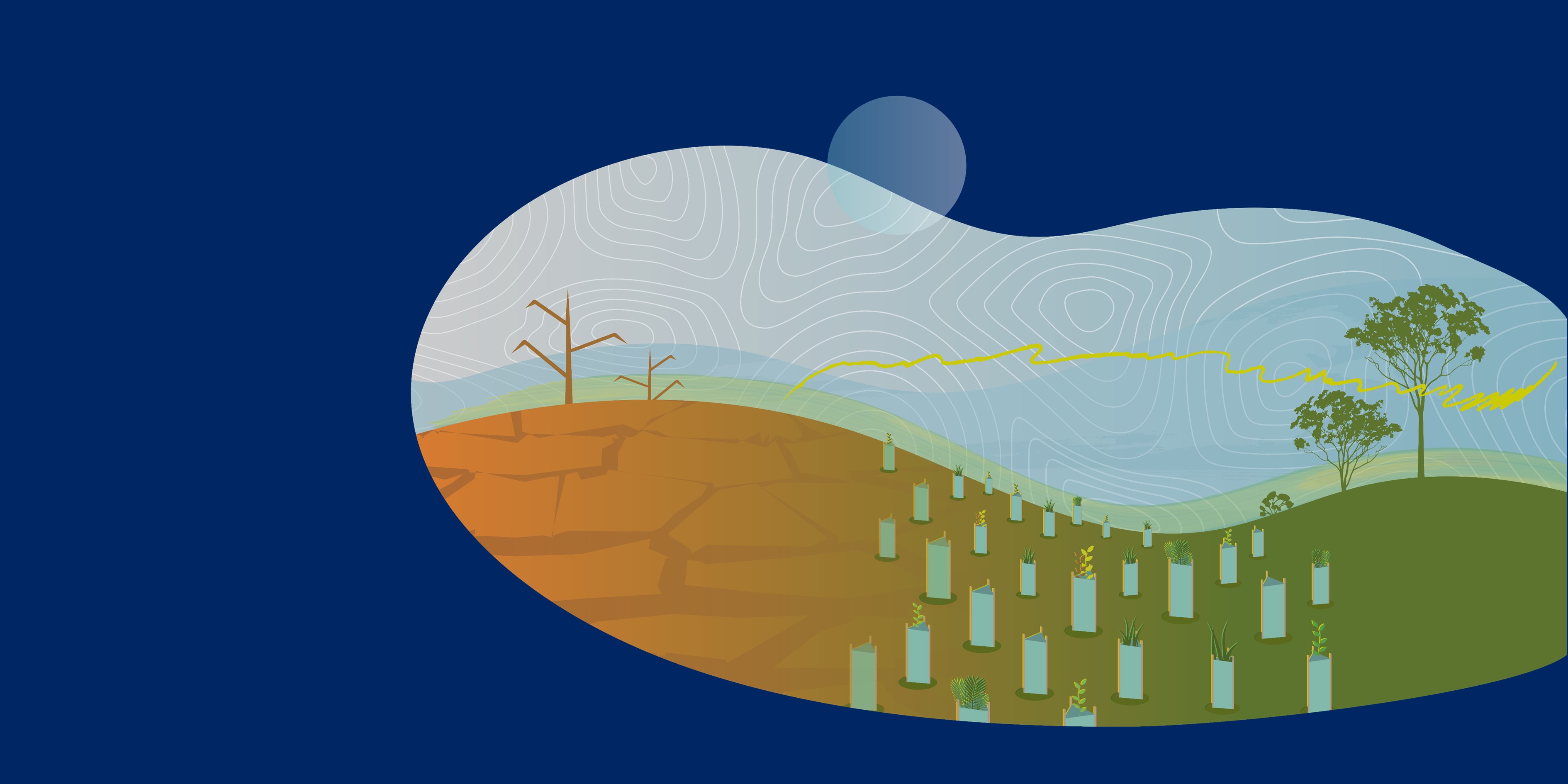 Illustration of hills, grass, tree planting and drought