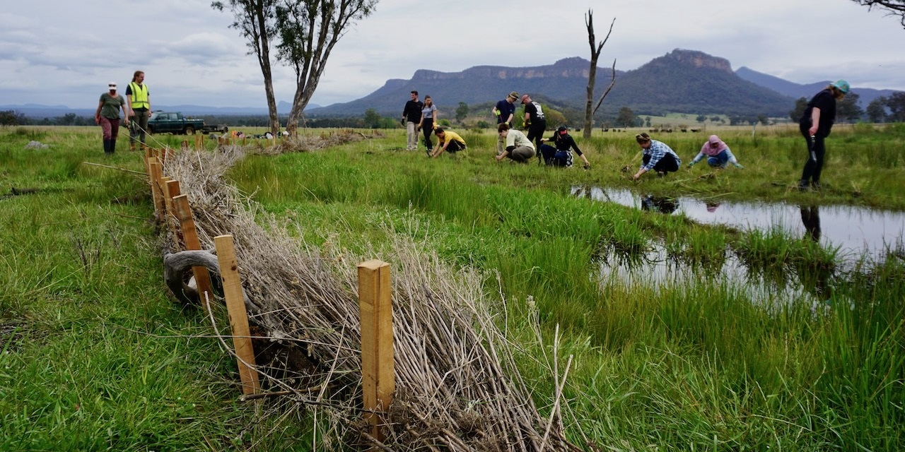 Participants create a pin weir to slow the flow of water across the land