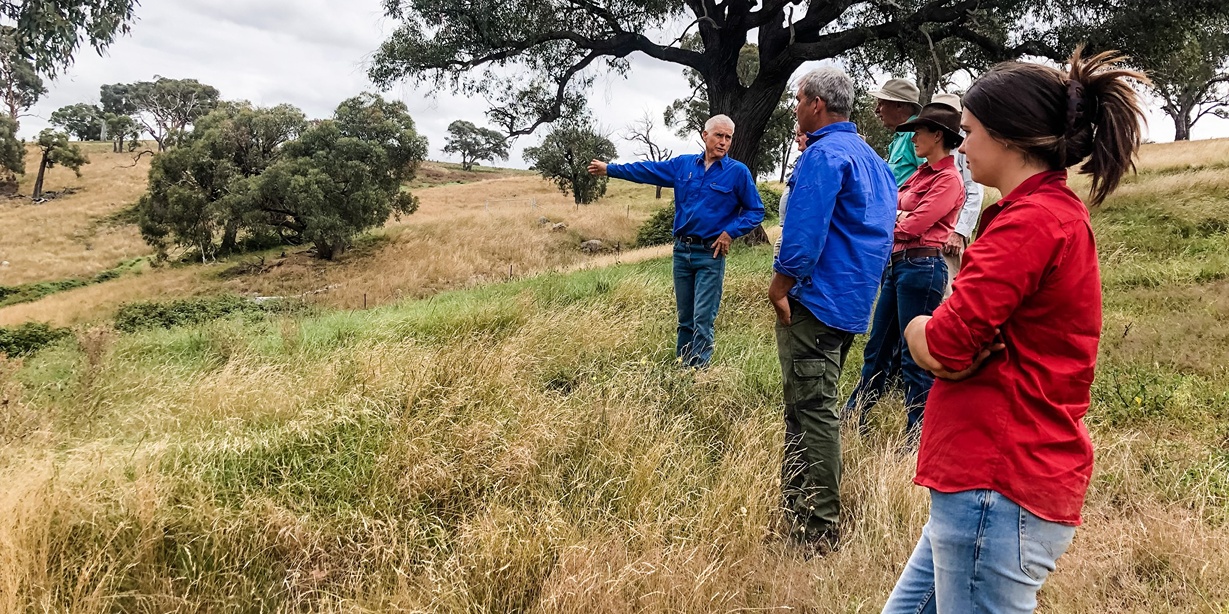 Bowning Bookham Landcare looking over Grazing Field