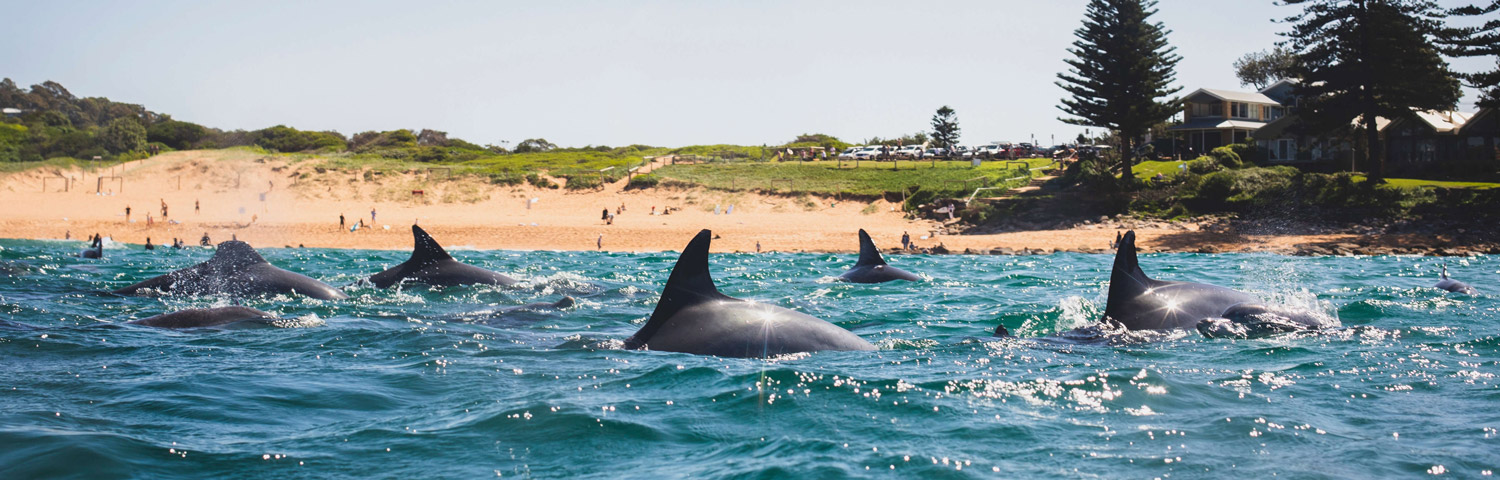 Climate change impacts on our oceans