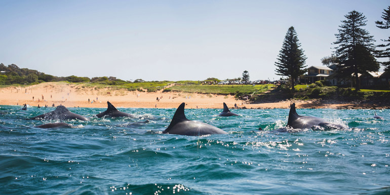 Climate change impacts on our oceans