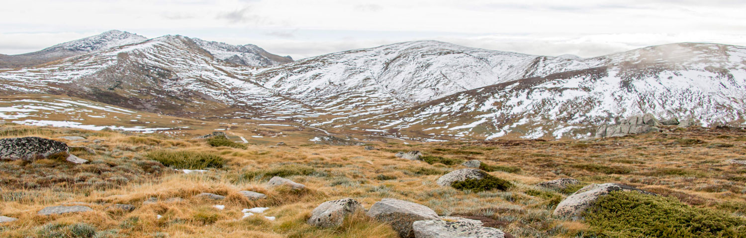 Climate change impacts on our alpine areas