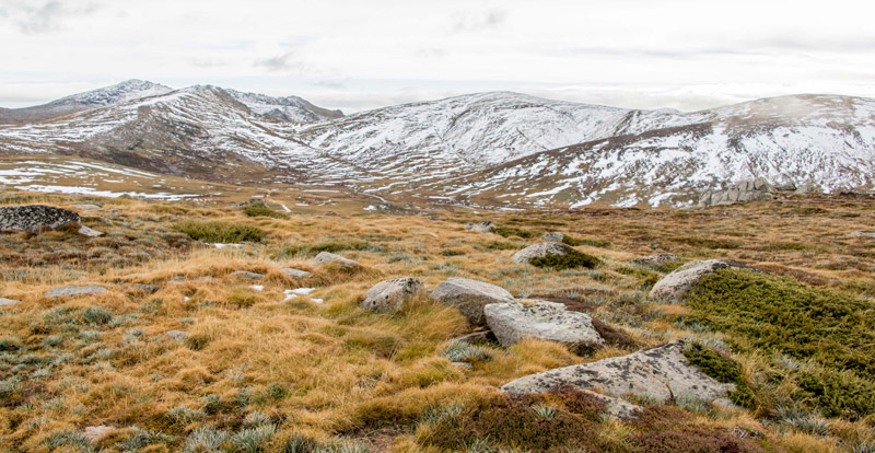 NSW alpine view, with grass in the foreground and snow covered mountains in the background