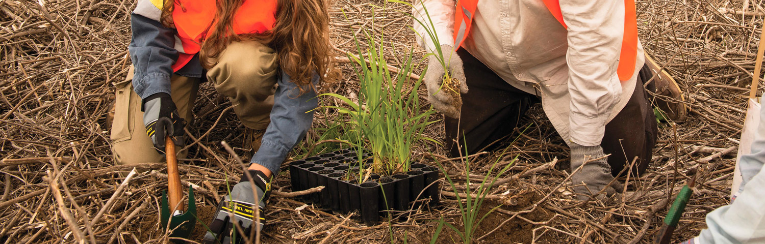 How community groups can adapt to climate change