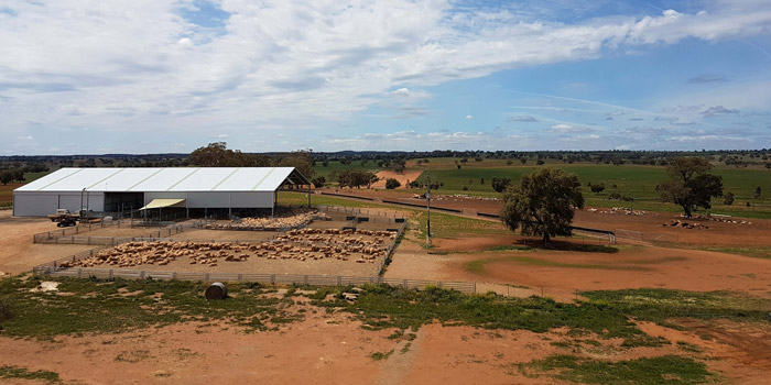View of a sheep farm on a land with sheep in the foreground
