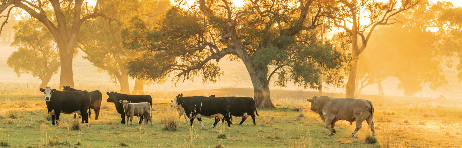 Climate change in the Central West and Orana