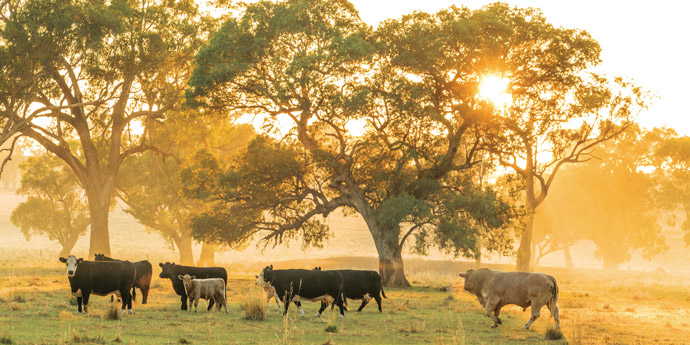 Climate change in the Central West and Orana