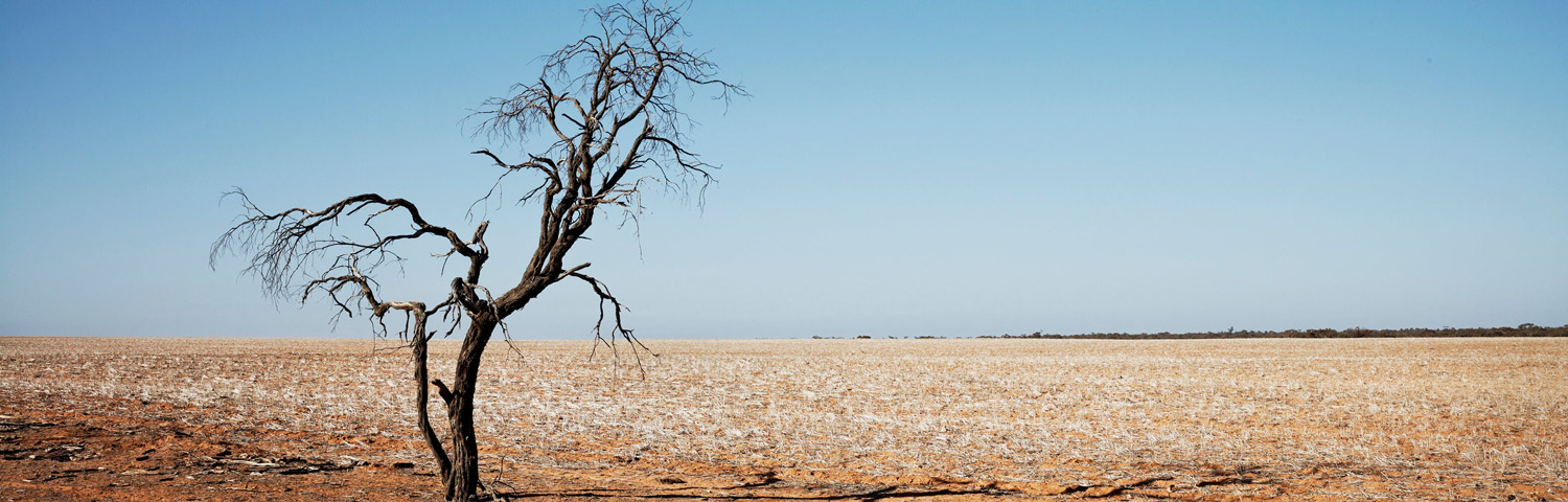 Climate change impacts on drought
