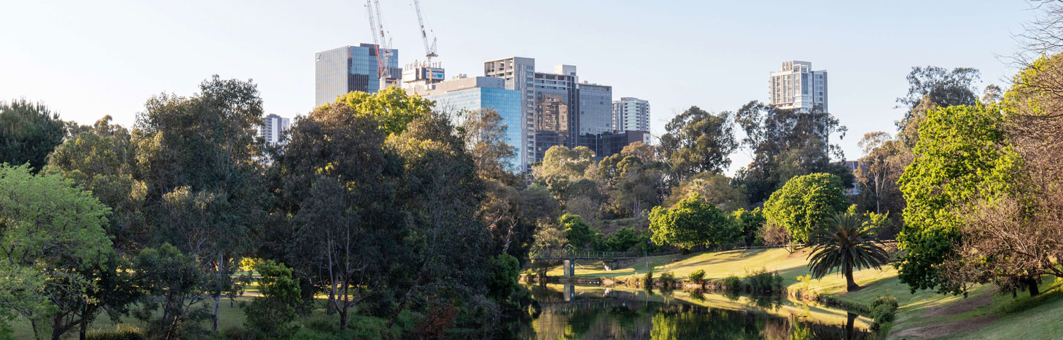 Climate change, green cover and open spaces