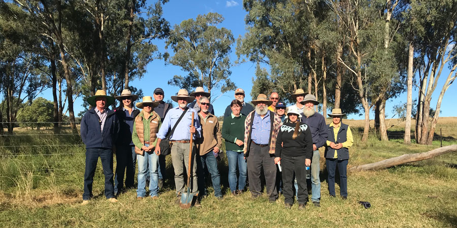 Group of people standing in field to examine and understand pastures in the field