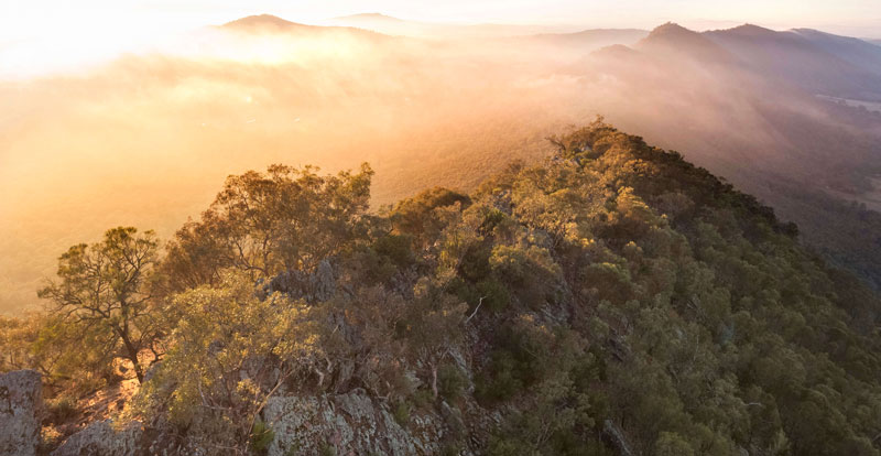 Landscape of a rock with native vegetation at sunset in The Rock Nature Reserve, located between the town of Lockhart and the city of Wagga Wagga in NSW