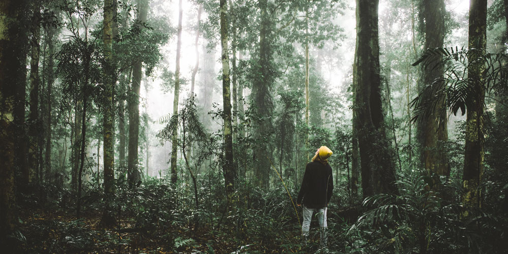 view of a young woman standing in the middle of a rainforest looking up