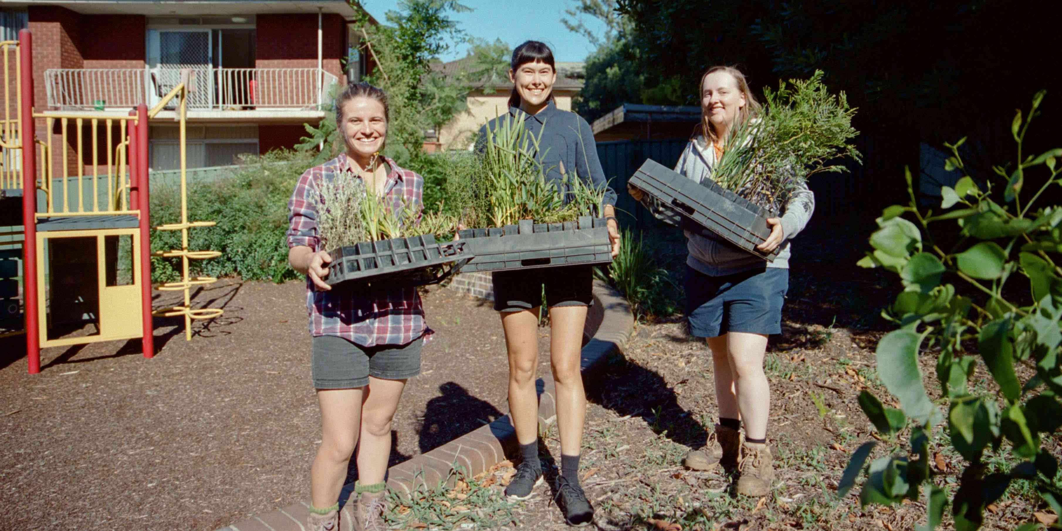 Three people in work great posing for a photo holding crates of seedlings