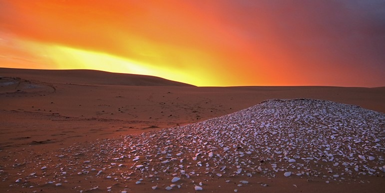 Shell middens at sunset, Worimi Conservation Lands