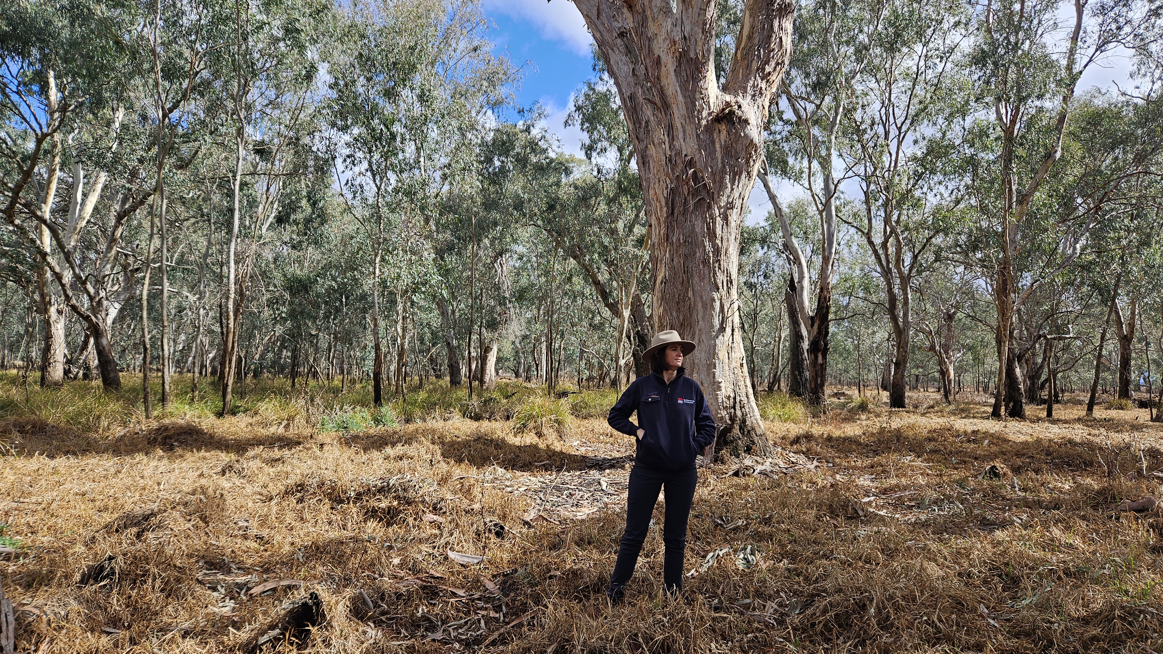 Save our Species, Senior Project Officer, Katie Elsey standing in front of a Eucalyptus camaldulensis