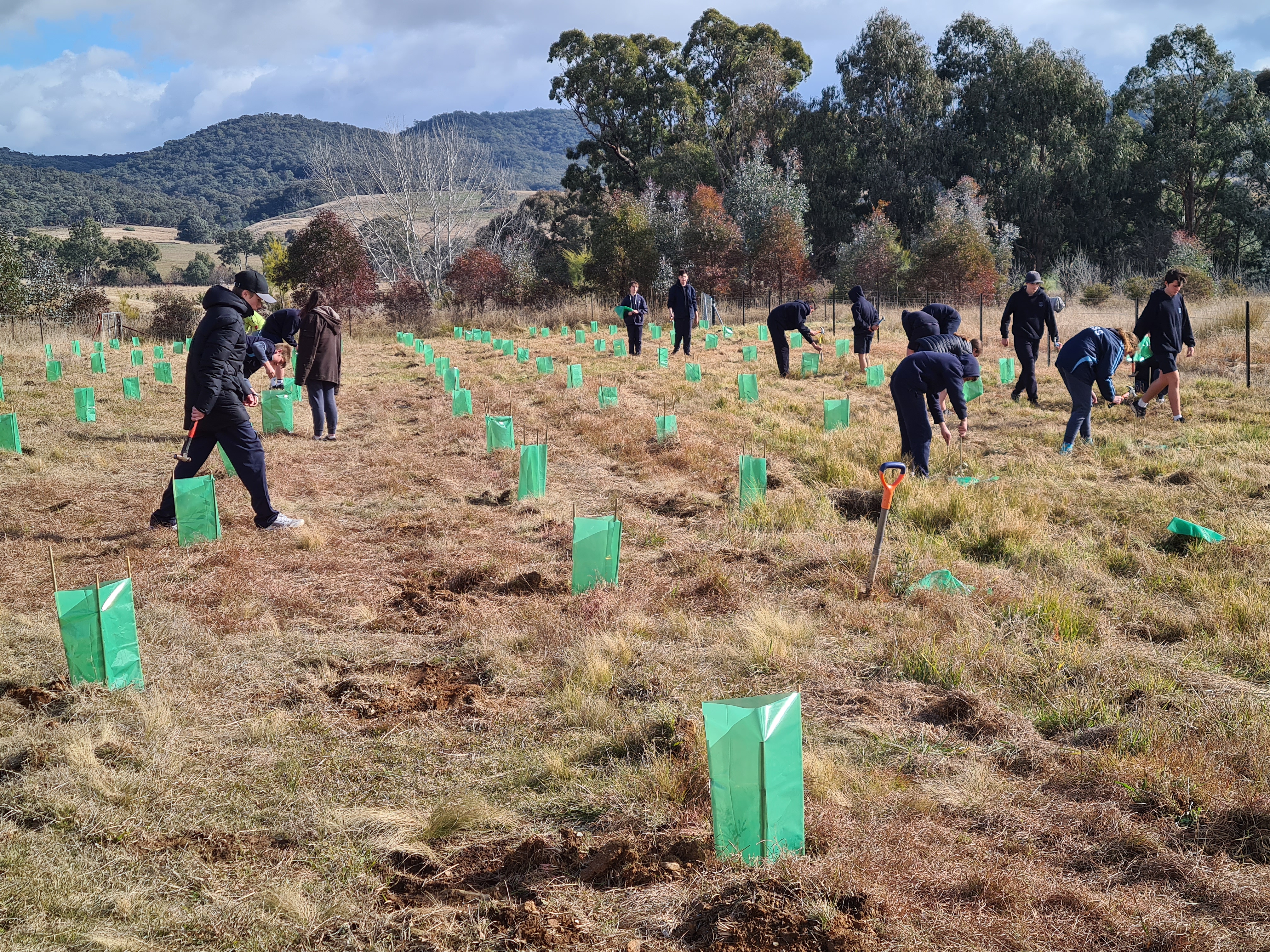 Yass High School students help to plant climate-ready tubestock in the Yass Valley