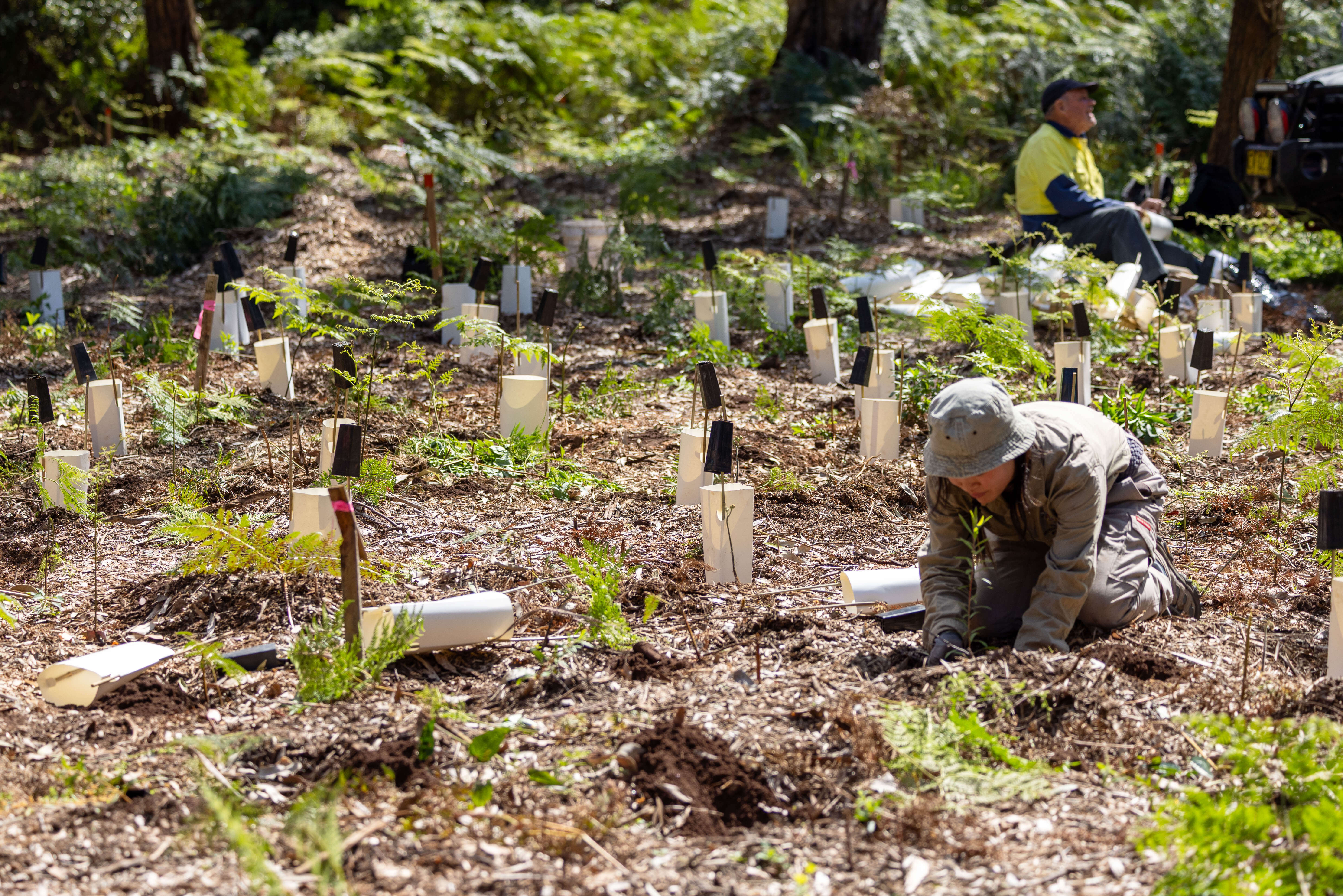 Field trip - Hunter Wetlands Centre