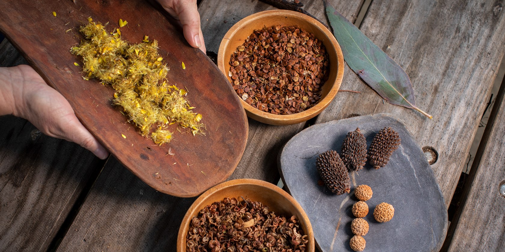 Collection of native seeds.