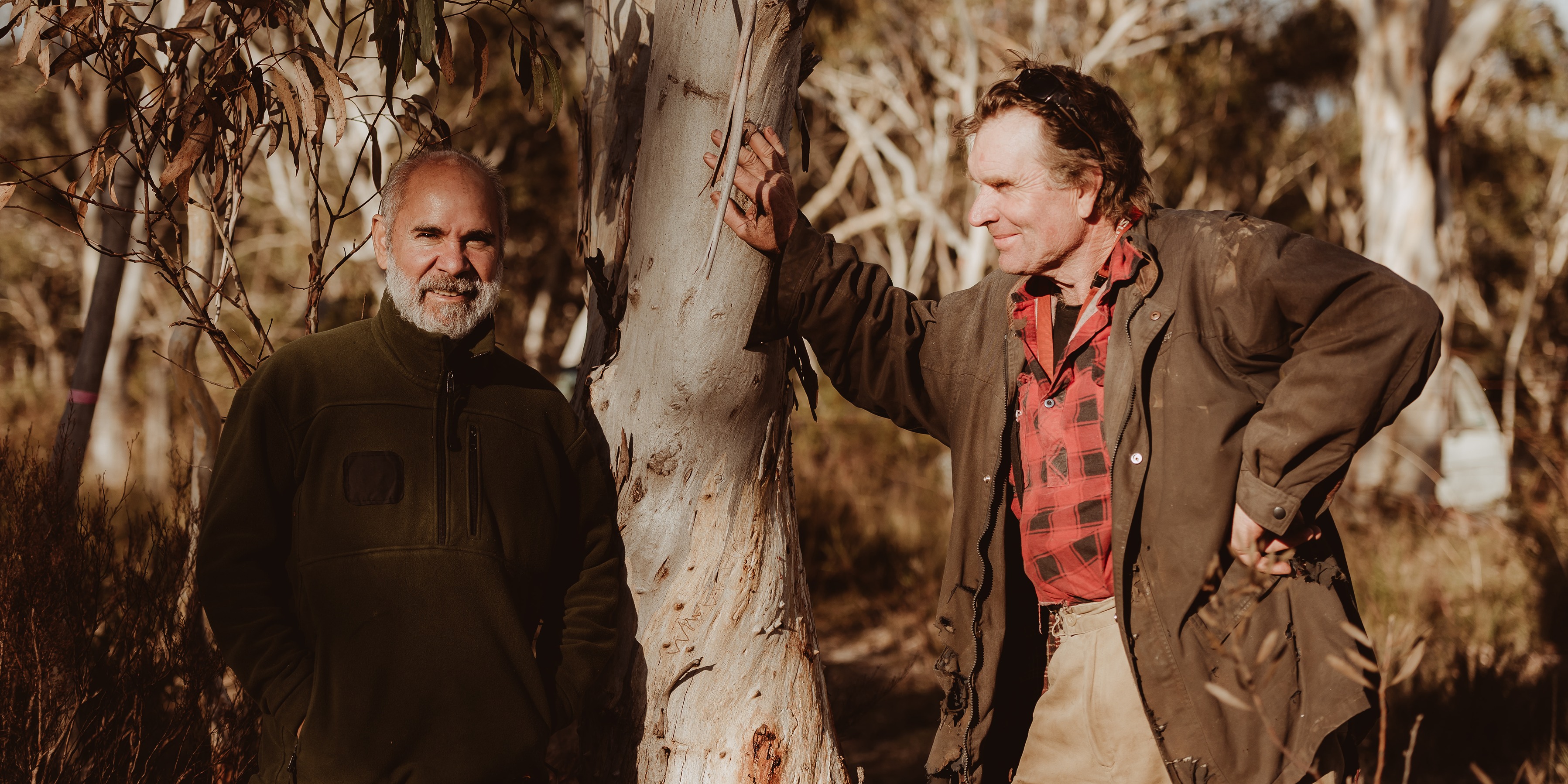 two men standing in the bush either side of a gum tree