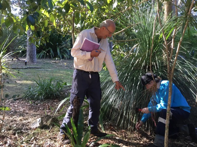 Demonstration gardens of Brunswick Valley Landcare