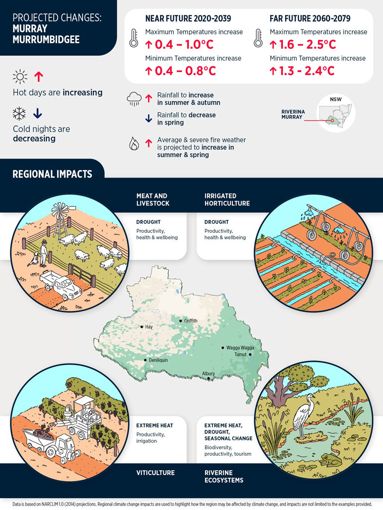 Murray/Murrumbidgee climate change projections and regional impacts infographic