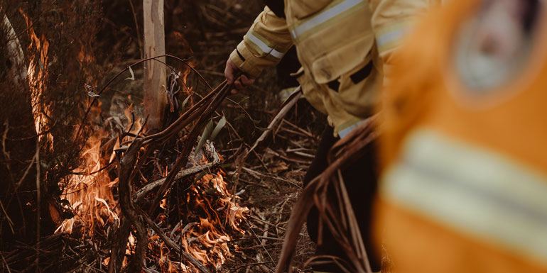 A traditional firestick using pieces of stringy bark to light a mosaic of cool-burning fires through the landscape