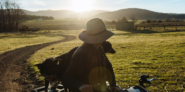 Farmer looks up to Mt Kaputar on farm in Barraba with dog