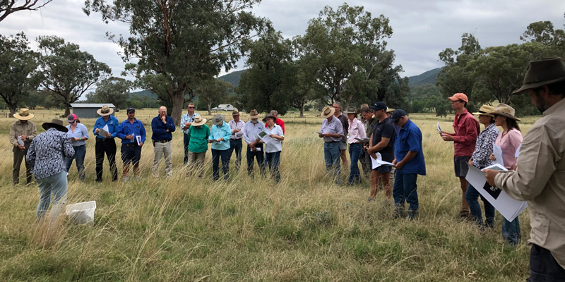 Farming for Change - Managing for Better Soils Workshop – Piallaway NSW