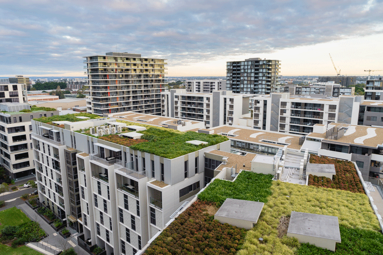 Aerial view of plants growing on modern building rooftops in Sydney. 