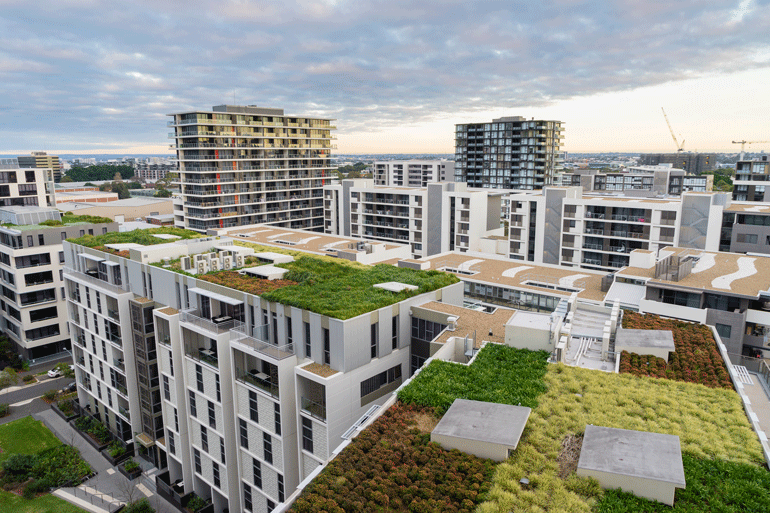 Aerial view of plants growing on modern building rooftops in Sydney.