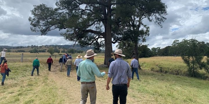 The backs of two people outside at the Mulloon Day rehydration workshop