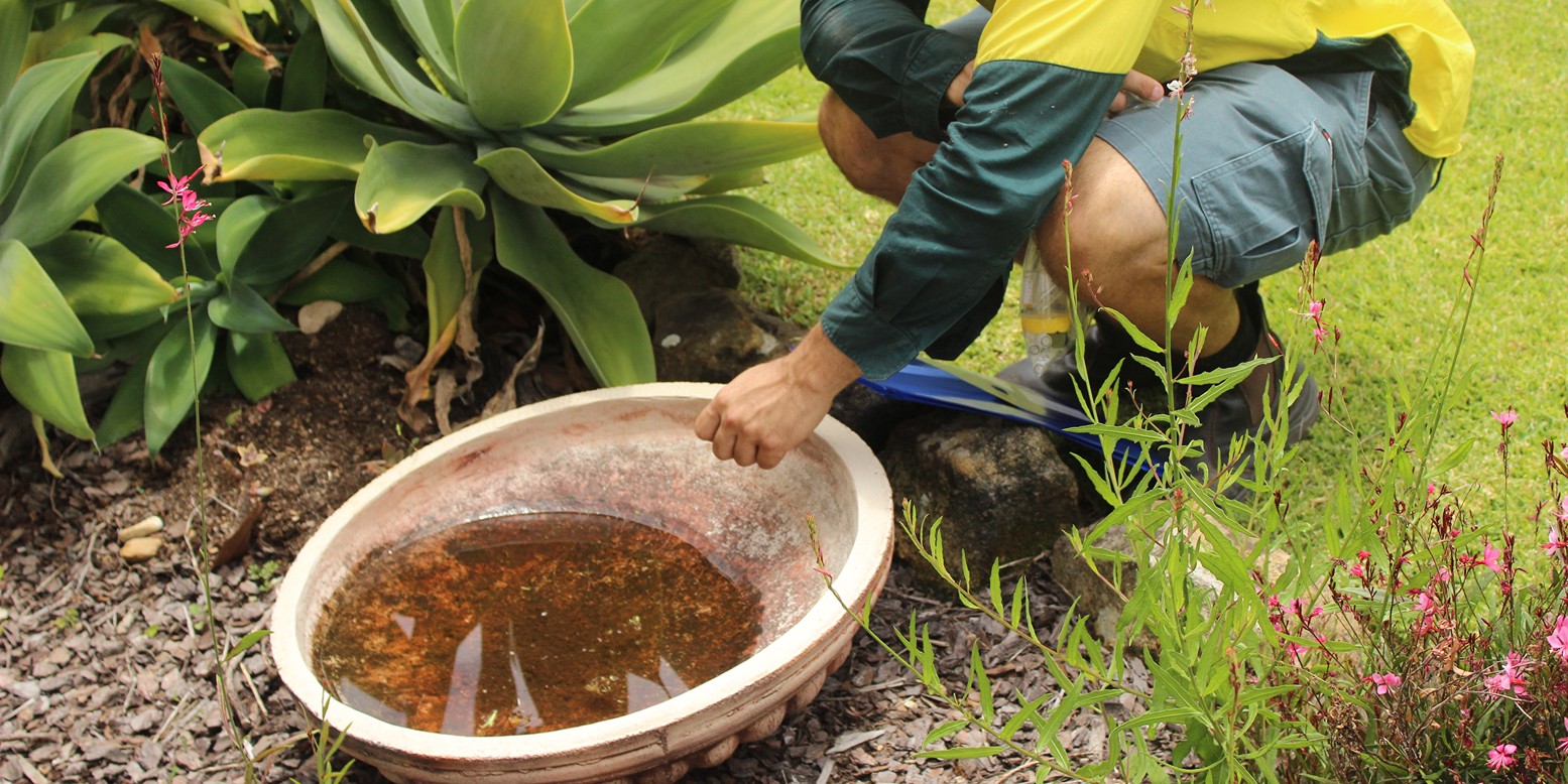 Close up view of a man crouching over a large garden dish full of water