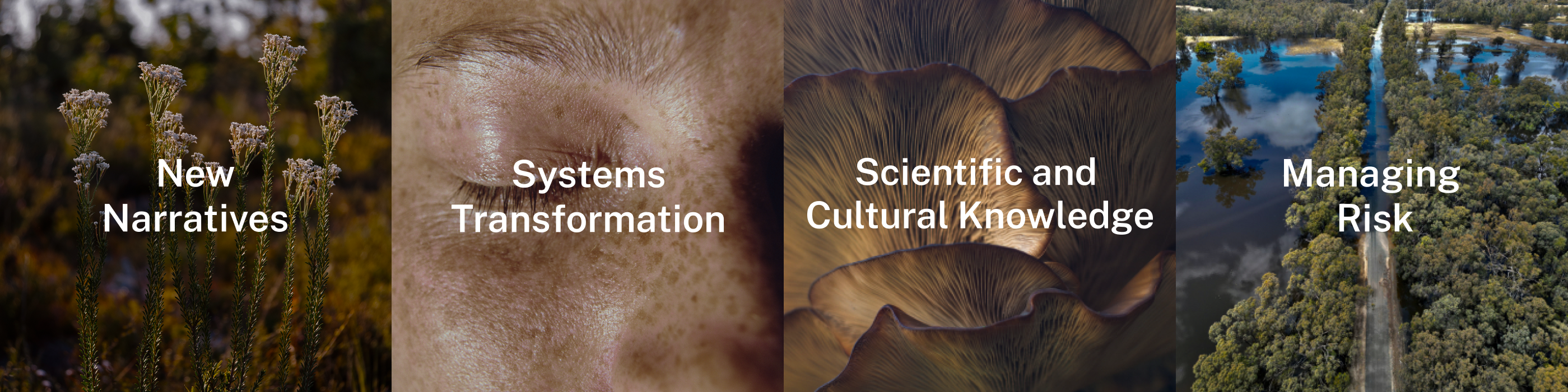 Four small images next to each other reading new narratives, systems transformation, cultural and scientific knowledge and managing risk 