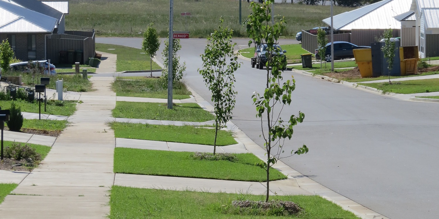 Wagga Wagga - new street tree plantings