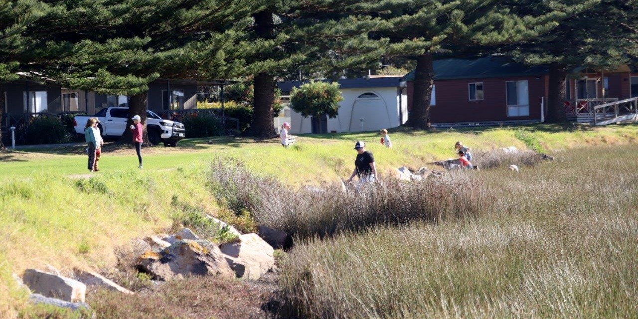 The bank area along Wagonga foreshore