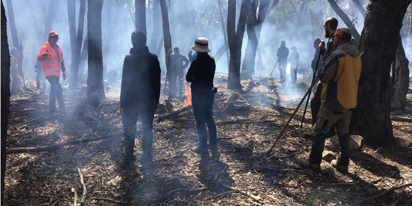 group of people carrying out a cultural burn in the bushland